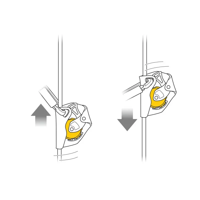Diagram showing the Petzl® ASAP® Fall Arrester moving freely up and down the rope, allowing smooth vertical mobility while providing continuous fall protection.