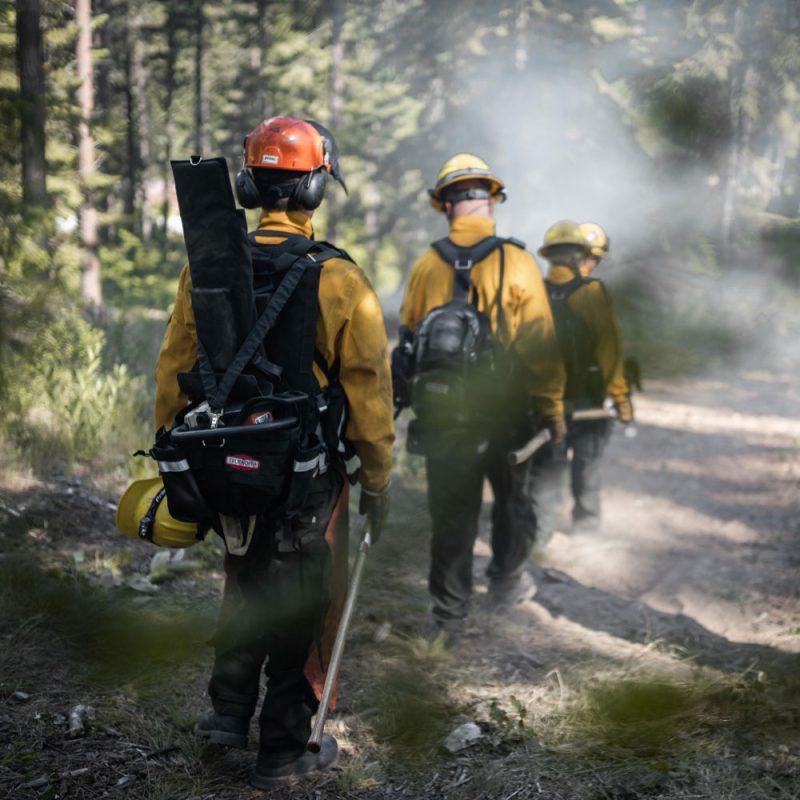 Back view of firefighter walking through forest wearing True North Gear Chainsaw Pack with padded straps and secured chainsaw for wildfire suppression.